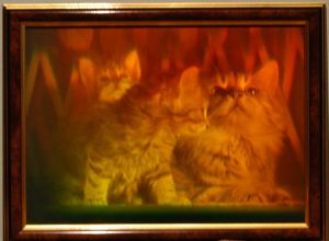 Hologram "Cat family"
