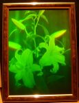 Hologram "Lilies"